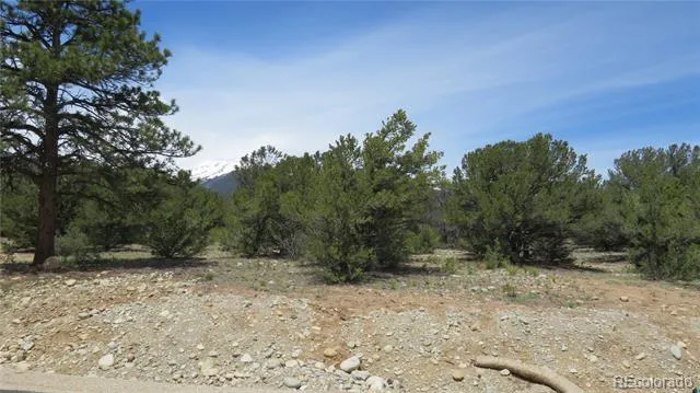 29258 Sage Lane Buena Vista, CO 81211