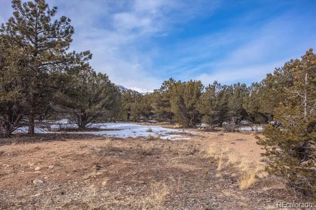 29258 Sage Lane Buena Vista, CO 81211