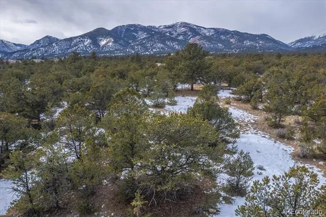 29258 Sage Lane Buena Vista, CO 81211
