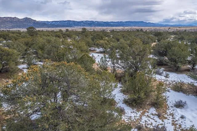 29258 Sage Lane Buena Vista, CO 81211