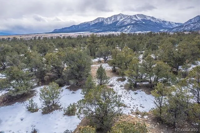 29258 Sage Lane Buena Vista, CO 81211