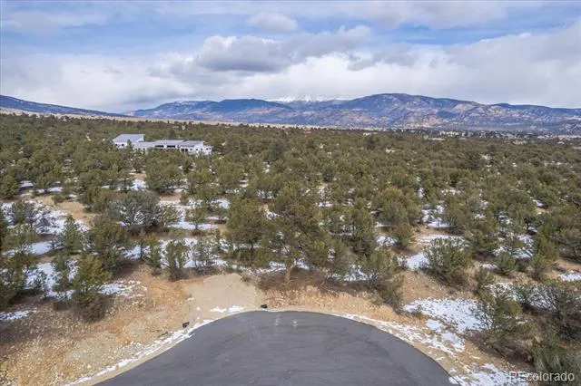 29258 Sage Lane Buena Vista, CO 81211