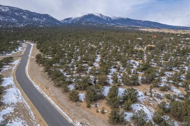 29258 Sage Lane Buena Vista, CO 81211