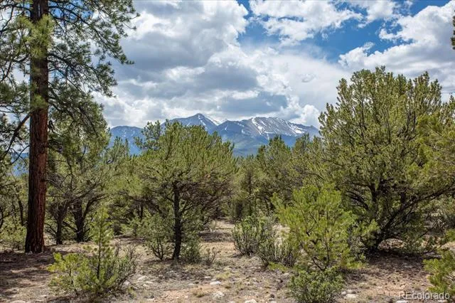 29258 Sage Lane Buena Vista, CO 81211