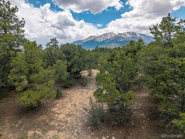 29258 Sage Lane Buena Vista, CO 81211