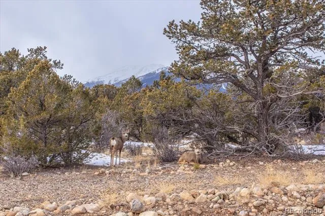 29258 Sage Lane Buena Vista, CO 81211
