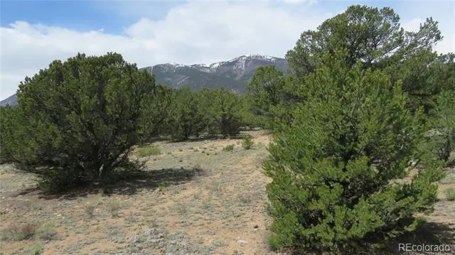 29258 Sage Lane Buena Vista, CO 81211