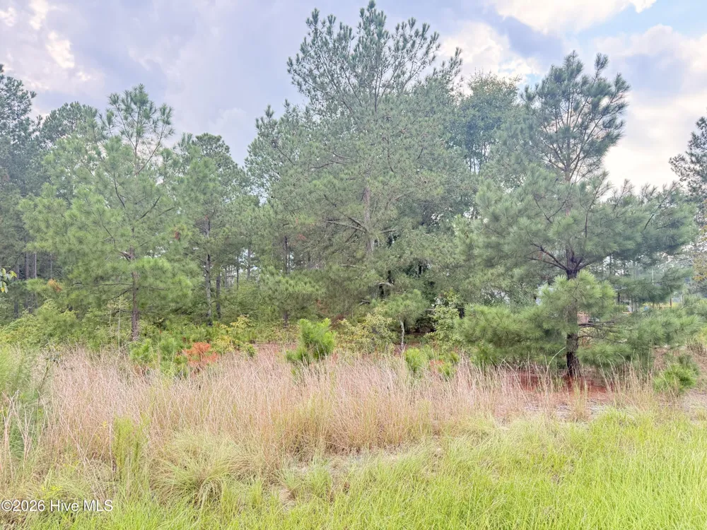1284 Windblow Road Jackson Springs, NC 27281