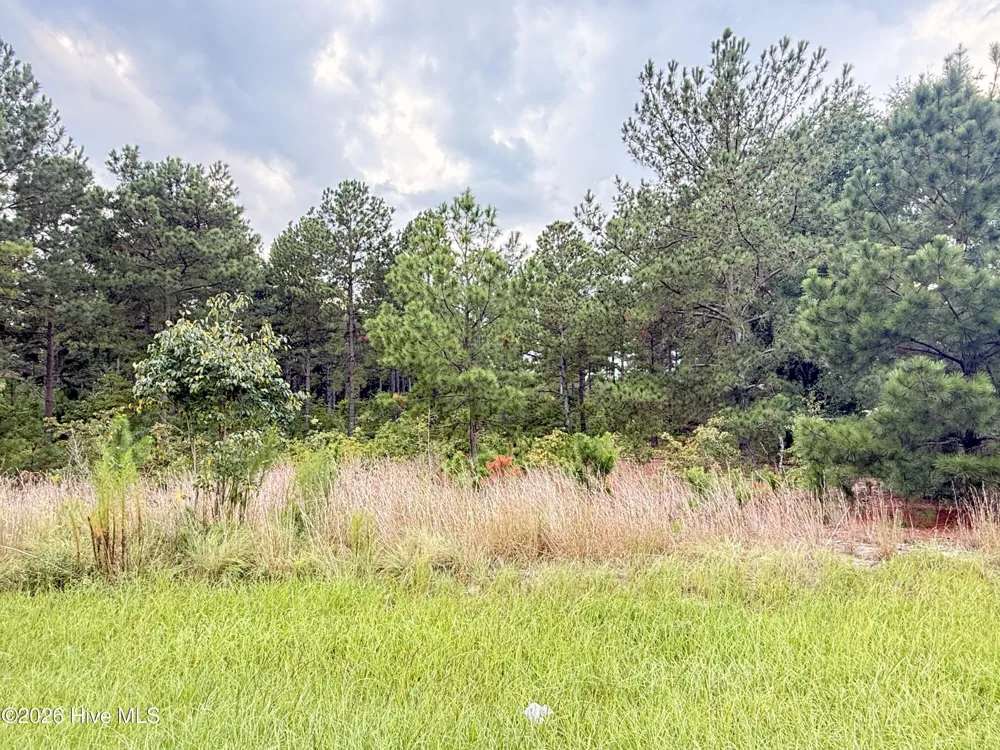 1284 Windblow Road Jackson Springs, NC 27281