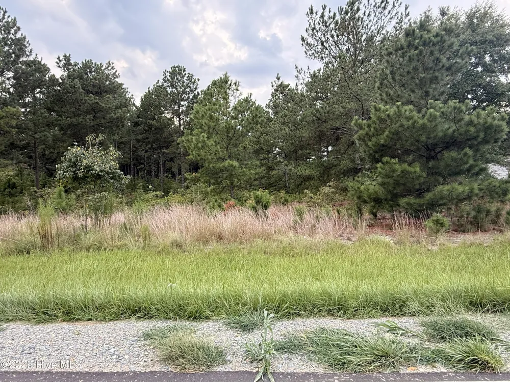 1284 Windblow Road Jackson Springs, NC 27281