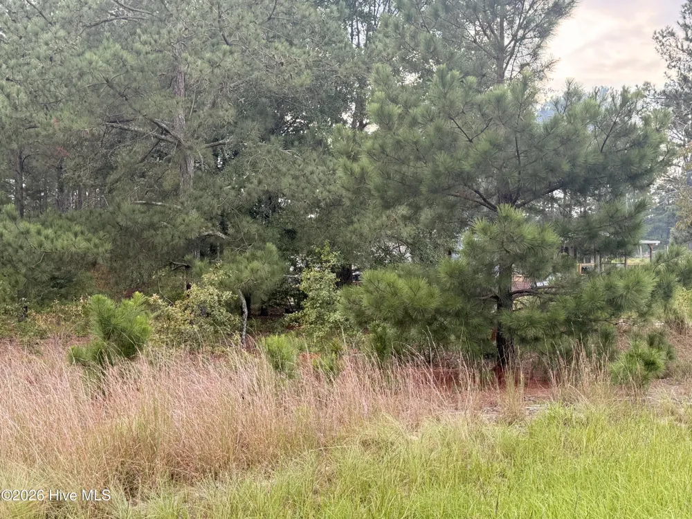 1284 Windblow Road Jackson Springs, NC 27281
