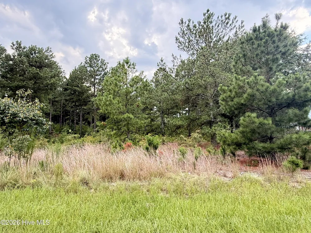 1284 Windblow Road Jackson Springs, NC 27281