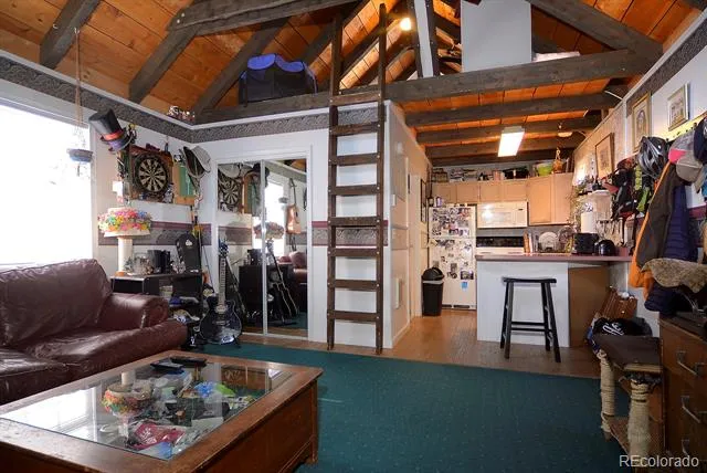 308 Whiterock Avenue Crested Butte, CO 81224