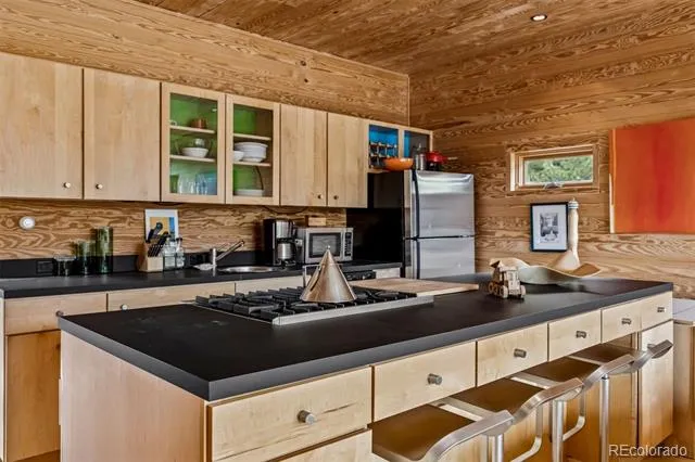 41750 US Highway 24 Granite, CO 81228
