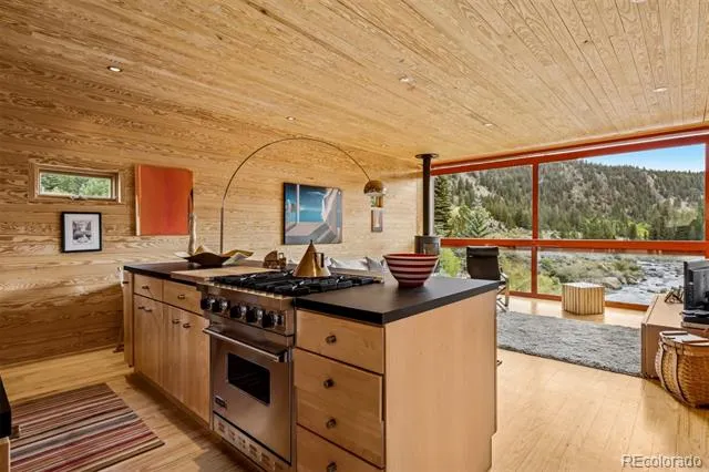 41750 US Highway 24 Granite, CO 81228