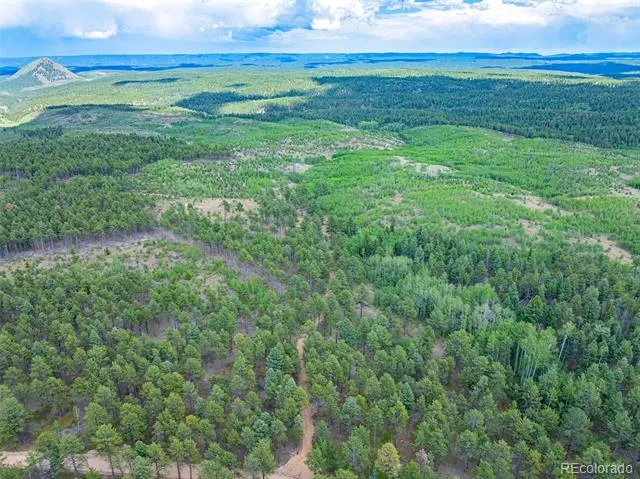 Lot 4 County Road 51 Florissant, CO 80816