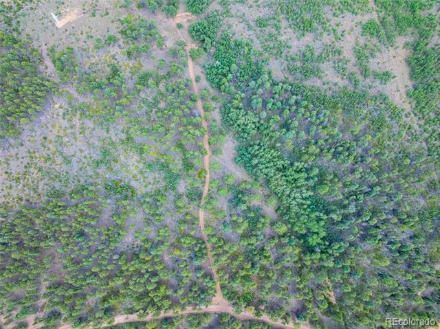 Lot 4 County Road 51 Florissant, CO 80816