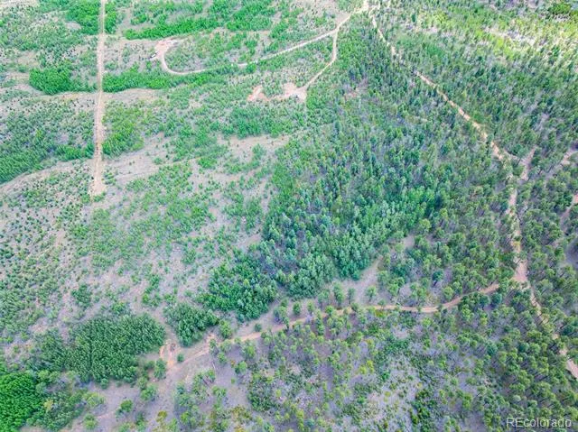 Lot 4 County Road 51 Florissant, CO 80816