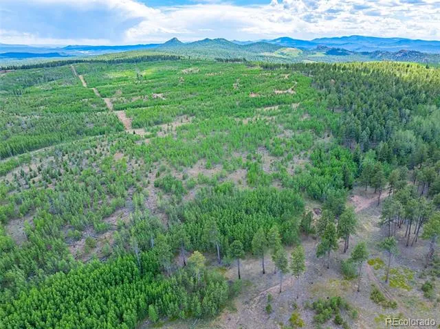 Lot 4 County Road 51 Florissant, CO 80816