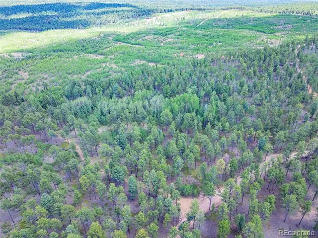 Lot 4 County Road 51 Florissant, CO 80816