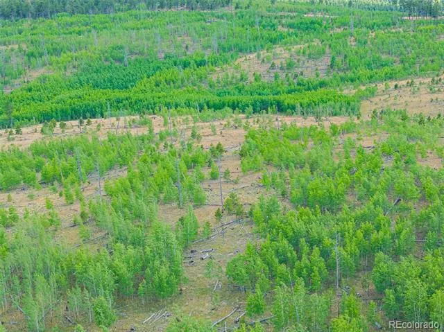Lot 4 County Road 51 Florissant, CO 80816