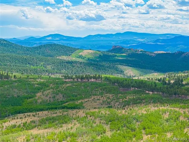 Lot 4 County Road 51 Florissant, CO 80816