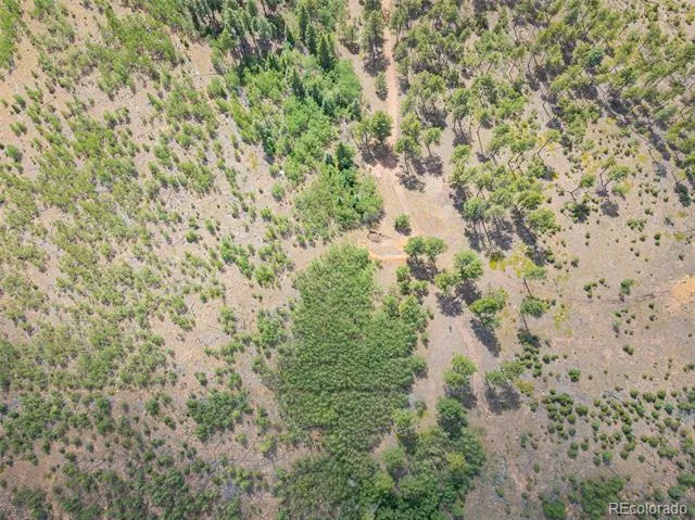 Lot 4 County Road 51 Florissant, CO 80816
