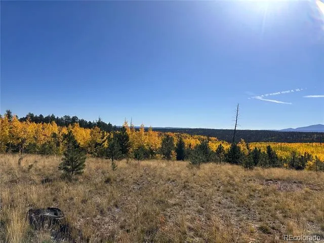 Lot 4 County Road 51 Florissant, CO 80816
