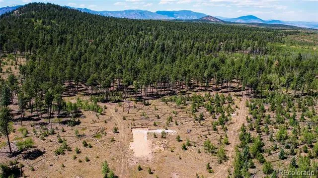 Lot 4 County Road 51 Florissant, CO 80816