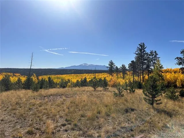 Lot 4 County Road 51 Florissant, CO 80816
