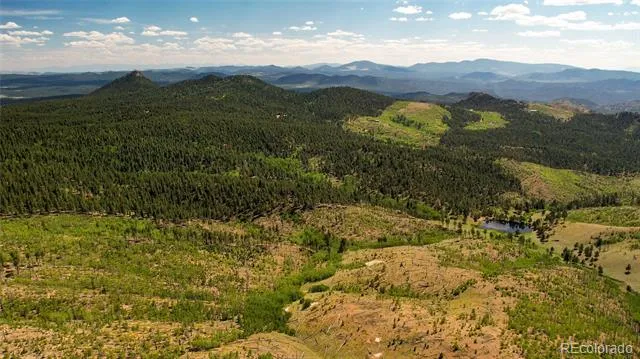 Lot 4 County Road 51 Florissant, CO 80816