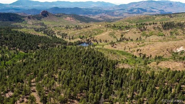 Lot 4 County Road 51 Florissant, CO 80816