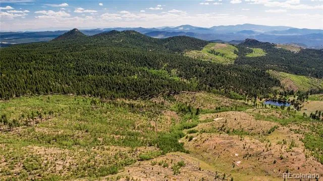 Lot 4 County Road 51 Florissant, CO 80816