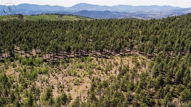 Lot 4 County Road 51 Florissant, CO 80816