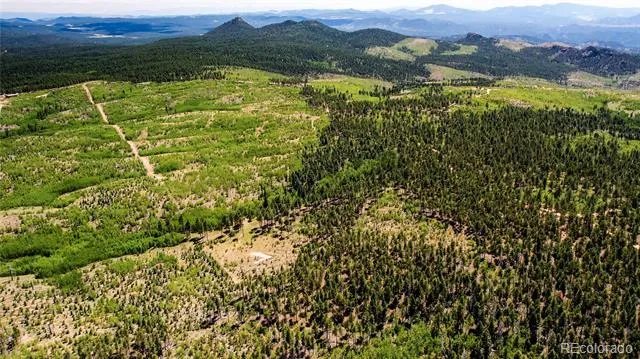Lot 4 County Road 51 Florissant, CO 80816