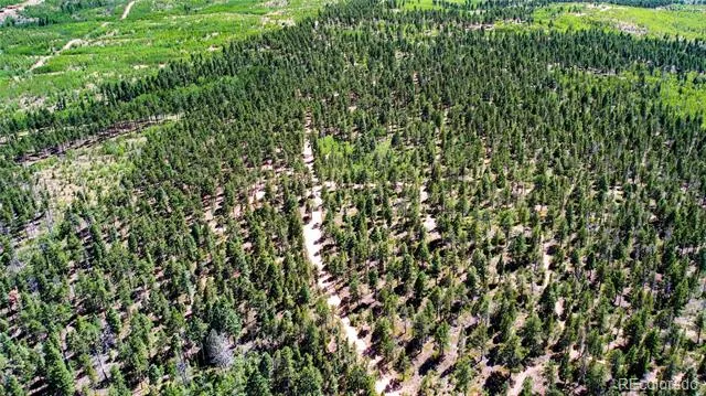 Lot 4 County Road 51 Florissant, CO 80816