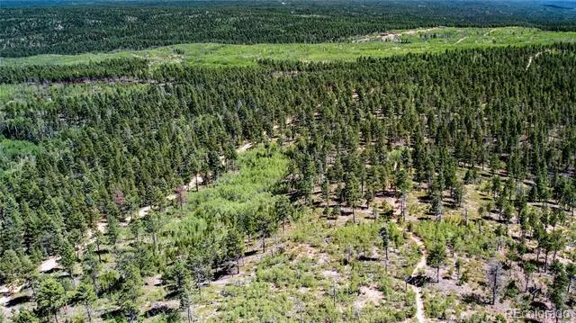Lot 4 County Road 51 Florissant, CO 80816