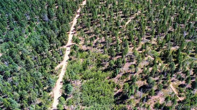 Lot 4 County Road 51 Florissant, CO 80816