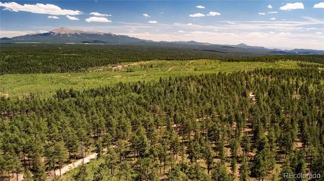 Lot 4 County Road 51 Florissant, CO 80816