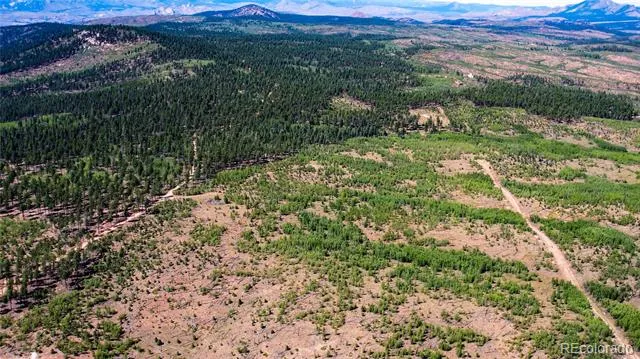 Lot 4 County Road 51 Florissant, CO 80816