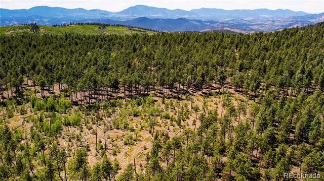 Lot 4 County Road 51 Florissant, CO 80816
