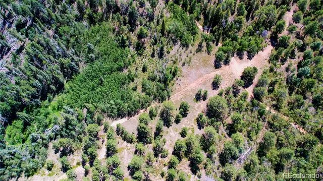 Lot 4 County Road 51 Florissant, CO 80816