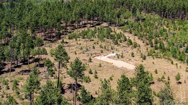 Lot 4 County Road 51 Florissant, CO 80816