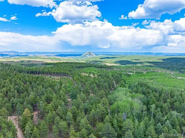 Lot 4 County Road 51 Florissant, CO 80816