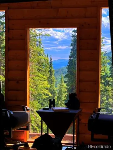 926 Nuthatch Drive Alma, CO 80420