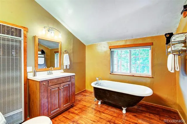 926 Nuthatch Drive Alma, CO 80420