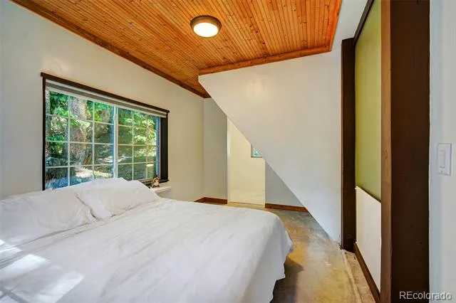 926 Nuthatch Drive Alma, CO 80420