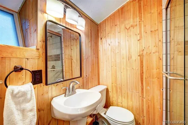 926 Nuthatch Drive Alma, CO 80420