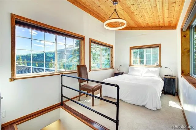 926 Nuthatch Drive Alma, CO 80420
