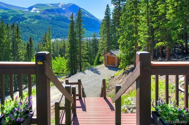 926 Nuthatch Drive Alma, CO 80420